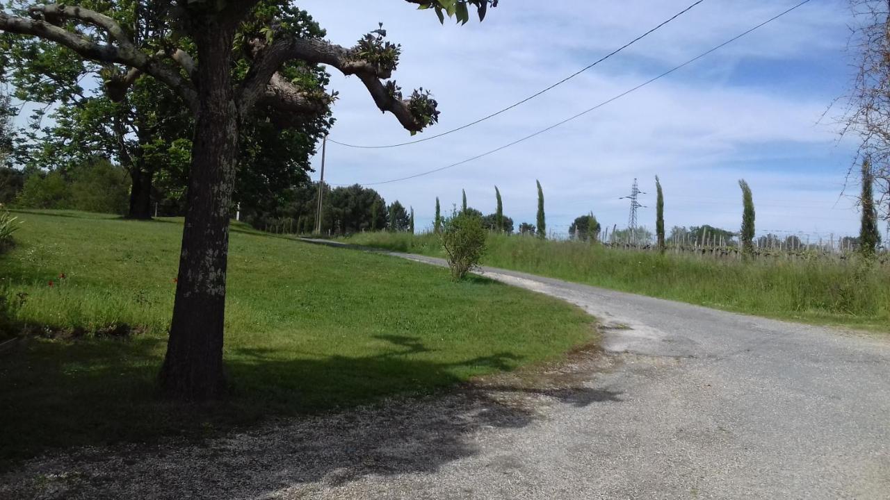 Gite lieu dit Gautier Civrac-de-Blaye Extérieur photo